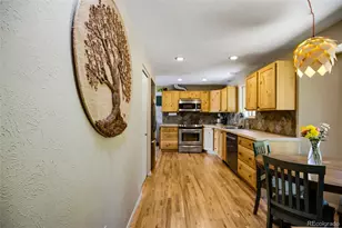 31280 Florence Rd, Conifer, CO 80433 - Photo 17