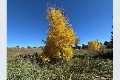 7873 S Carr Court, Littleton, CO 80128 - Photo 3