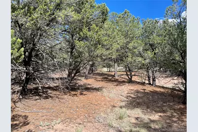576 Panorama, Crestone, CO 81131 - Photo 3