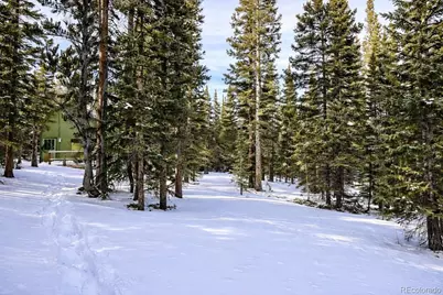 163 Prunes Place, Fairplay, CO 80440 - Photo 33