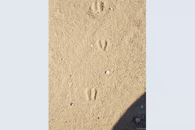 00 Jj 3rd Street, Blanca, CO 81123 - Photo 7