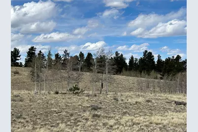 187 Angus Circle, Hartsel, CO 80449 - Photo 7