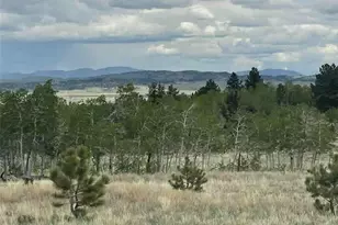 187 Angus Cir, Hartsel, CO 80449 - Photo 1