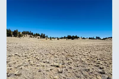 3067 Fitzsimmons Road, Hartsel, CO 80449 - Photo 9