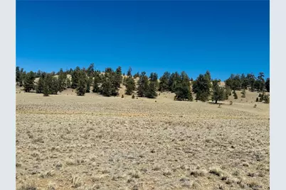 3067 Fitzsimmons Road, Hartsel, CO 80449 - Photo 3