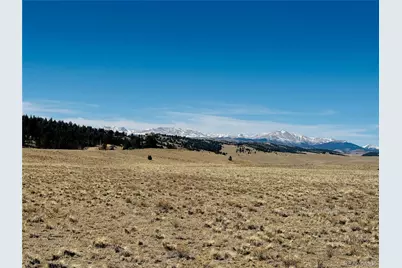 3067 Fitzsimmons Road, Hartsel, CO 80449 - Photo 5