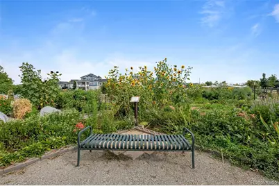 1379 Lombardi Street, Erie, CO 80516 - Photo 35