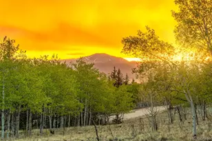 847 Palomino Rd, Jefferson, CO 80456 - Photo 47