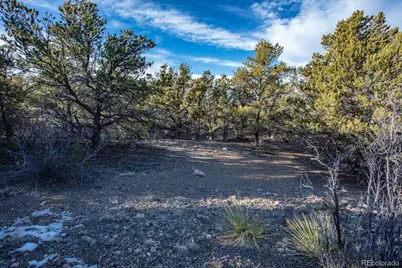 5450 Longbranch Road, Salida, CO 81201 - Photo 25