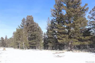 96 Baler Court, Hartsel, CO 80449 - Photo 11