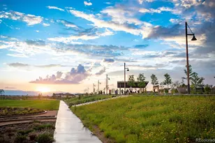 6237 N Nepal St, Aurora, CO 80019 - Photo 21