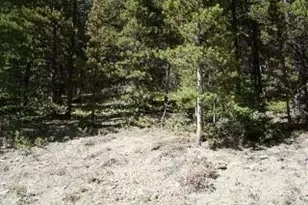 Lot 680 Alice Rd, Idaho Springs, CO 80453 - Photo 1