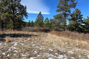 6764 Yampa Dr, Larkspur, CO 80118 - Photo 1