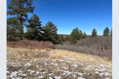 6764 Yampa Drive, Larkspur, CO 80118 - Photo 5