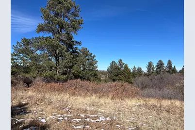 6764 Yampa Drive, Larkspur, CO 80118 - Photo 11