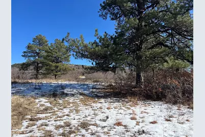 6764 Yampa Drive, Larkspur, CO 80118 - Photo 3