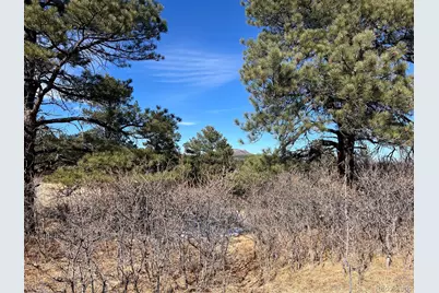 6764 Yampa Drive, Larkspur, CO 80118 - Photo 7