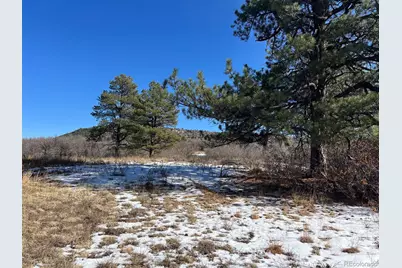 6764 Yampa Drive, Larkspur, CO 80118 - Photo 17