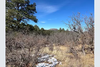 6764 Yampa Drive, Larkspur, CO 80118 - Photo 13