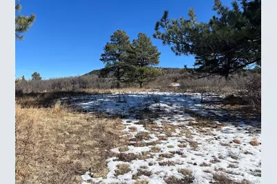 6764 Yampa Drive, Larkspur, CO 80118 - Photo 15