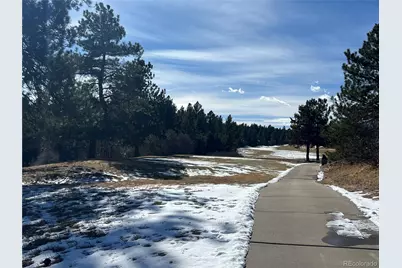 6764 Yampa Drive, Larkspur, CO 80118 - Photo 19