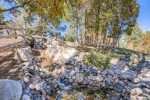 8905 Windhaven Dr, Parker, CO 80134 - Photo 39