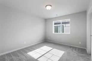 736 N Carrie Ct, Watkins, CO 80137 - Photo 25