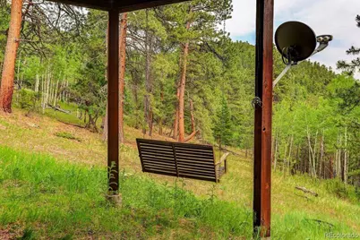 13338 Elsie Road, Conifer, CO 80433 - Photo 43
