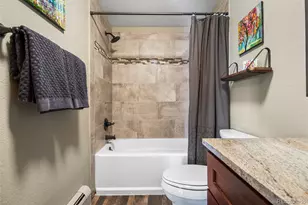 685 Jesse Ln, Bailey, CO 80421 - Photo 35