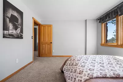 685 Jesse Lane, Bailey, CO 80421 - Photo 33
