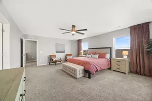 17369 Red Cosmos Pt, Parker, CO 80134 - Photo 29