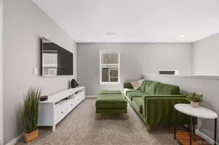 17369 Red Cosmos Pt, Parker, CO 80134 - Photo 21