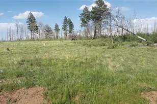 Lot 1406 Emery Loop, Fort Garland, CO 81133 - Photo 1