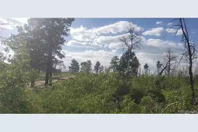 Lot 1406 Emery Loop, Fort Garland, CO 81133 - Photo 7