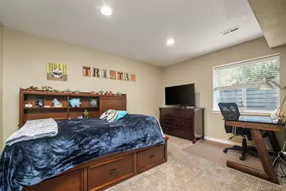 12223 S Buffalo Gap Trail, Parker, CO 80134 - Photo 49