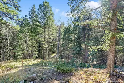 28176 Alabraska Lane, Evergreen, CO 80439 - Photo 11