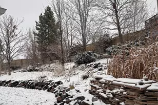 3559 Craftsbury Dr, Highlands Ranch, CO 80126 - Photo 35