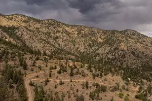 187 Nugget Hill Rd, Jamestown, CO 80455 - Photo 49