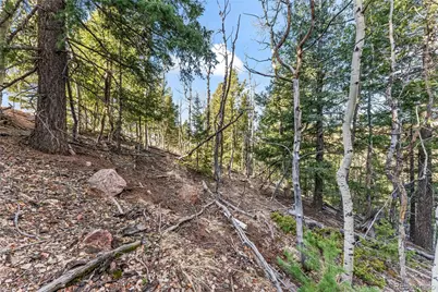 728 Little Topsey Drive, Cripple Creek, CO 80813 - Photo 17