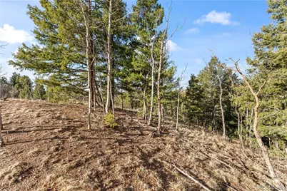 728 Little Topsey Drive, Cripple Creek, CO 80813 - Photo 21