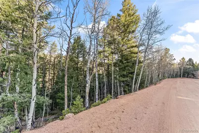 728 Little Topsey Drive, Cripple Creek, CO 80813 - Photo 15