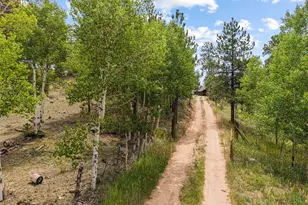 14534 S Wandcrest Dr, Pine, CO 80470 - Photo 9