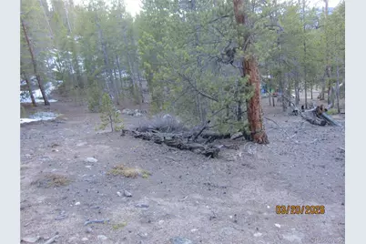 446 Mt Massive Drive, Twin Lakes, CO 81251 - Photo 13