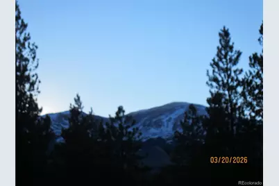 446 Mt Massive Drive, Twin Lakes, CO 81251 - Photo 15