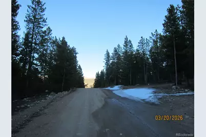 446 Mt Massive Drive, Twin Lakes, CO 81251 - Photo 5