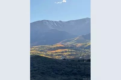 446 Mt Massive Drive, Twin Lakes, CO 81251 - Photo 3