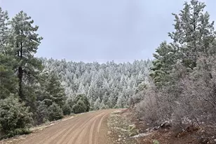 33280 Turkey Creek Ln, Trinidad, CO 81082 - Photo 3