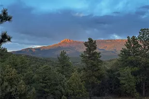 33280 Turkey Creek Ln, Trinidad, CO 81082 - Photo 43