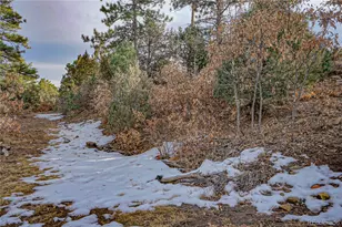 33280 Turkey Creek Ln, Trinidad, CO 81082 - Photo 39