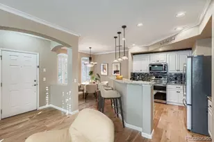 485 Elmhurst Way, Highlands Ranch, CO 80129 - Photo 9